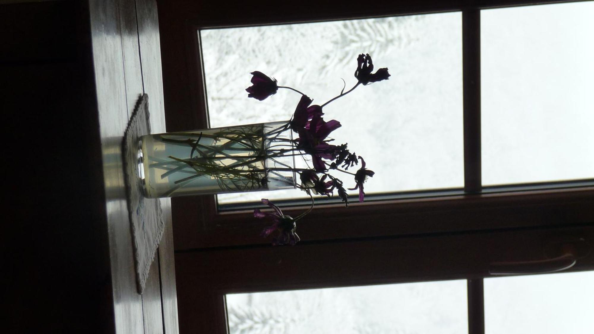 La Chouette A L'Heure Du Pinson Bed & Breakfast Saint-Pierre-d'Entremont  Ruang foto