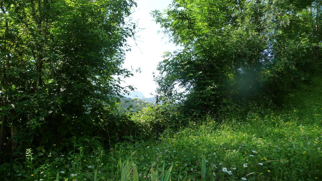 La Chouette A L'Heure Du Pinson Bed & Breakfast Saint-Pierre-d'Entremont  Bagian luar foto