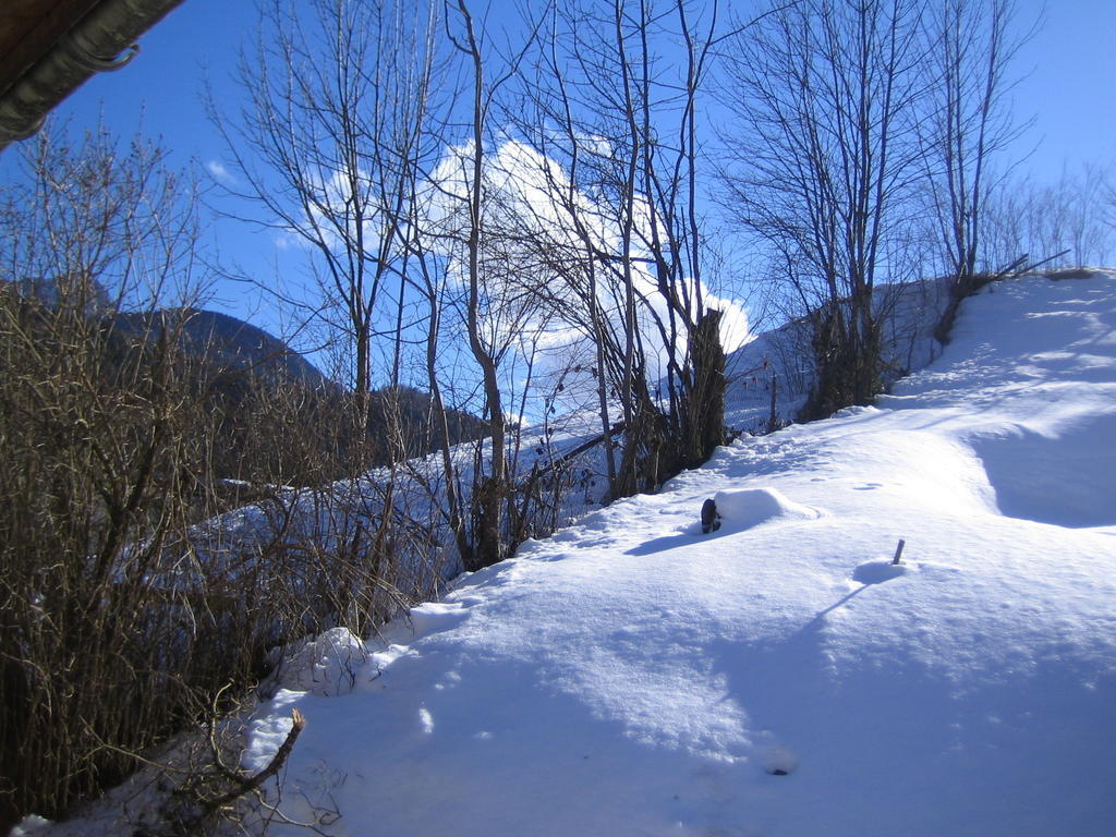 La Chouette A L'Heure Du Pinson Bed & Breakfast Saint-Pierre-d'Entremont  Bagian luar foto